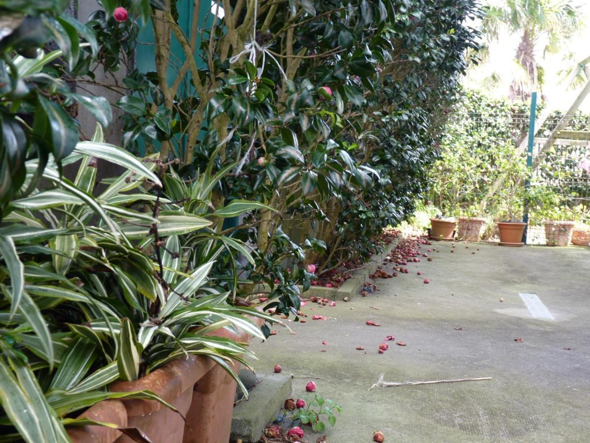 Azores Holidays House -B&B - Suites - Self Check-In Keyboard Ponta Delgada  Bagian luar foto