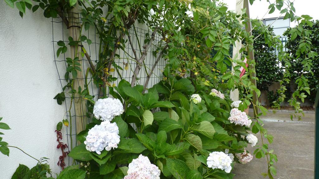 Azores Holidays House -B&B - Suites - Self Check-In Keyboard Ponta Delgada  Bagian luar foto